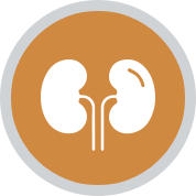 Nephrologie mehr zur Nephrologie