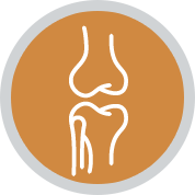 Osteologie mehr zur Osteologie